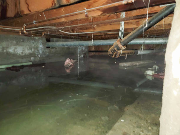 Best Water damage restoration insurance claims  in Beverly, MA