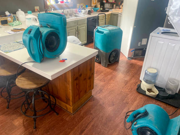 Best Local water damage restoration  in Beverly, MA
