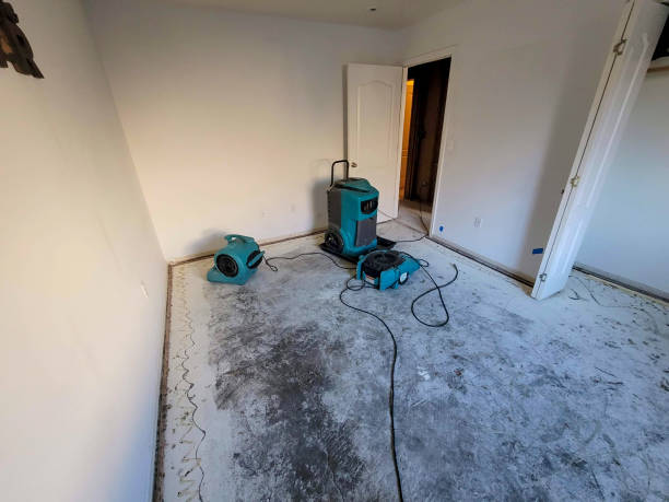 Best Fire Damage Restoration  in Beverly, MA
