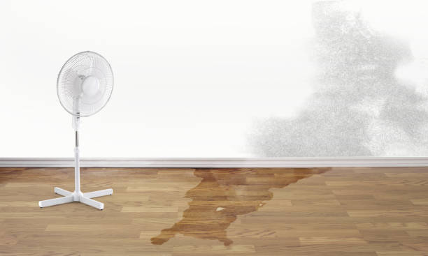 Trusted Beverly, MA Water damage restoration Experts